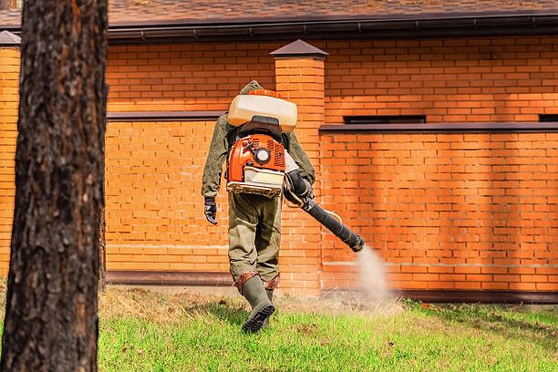 Trusted Termite Control service in West Dennis, MA - Nex Pest Control